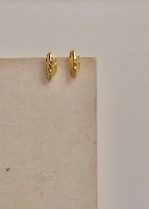 Cardamom Studs