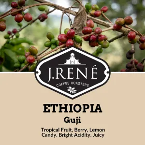 Ethiopia Guji