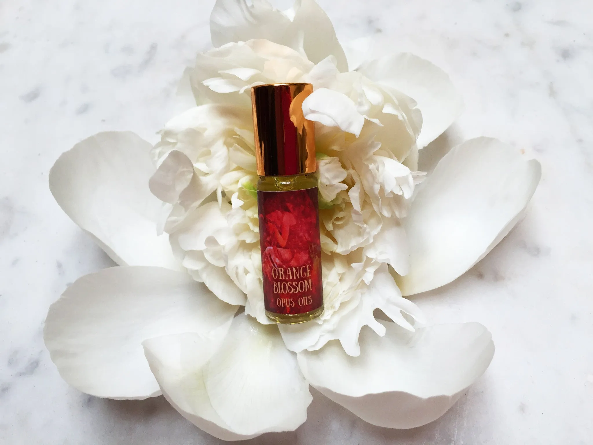 Orange Blossom Perfume Oil -- 1 dram