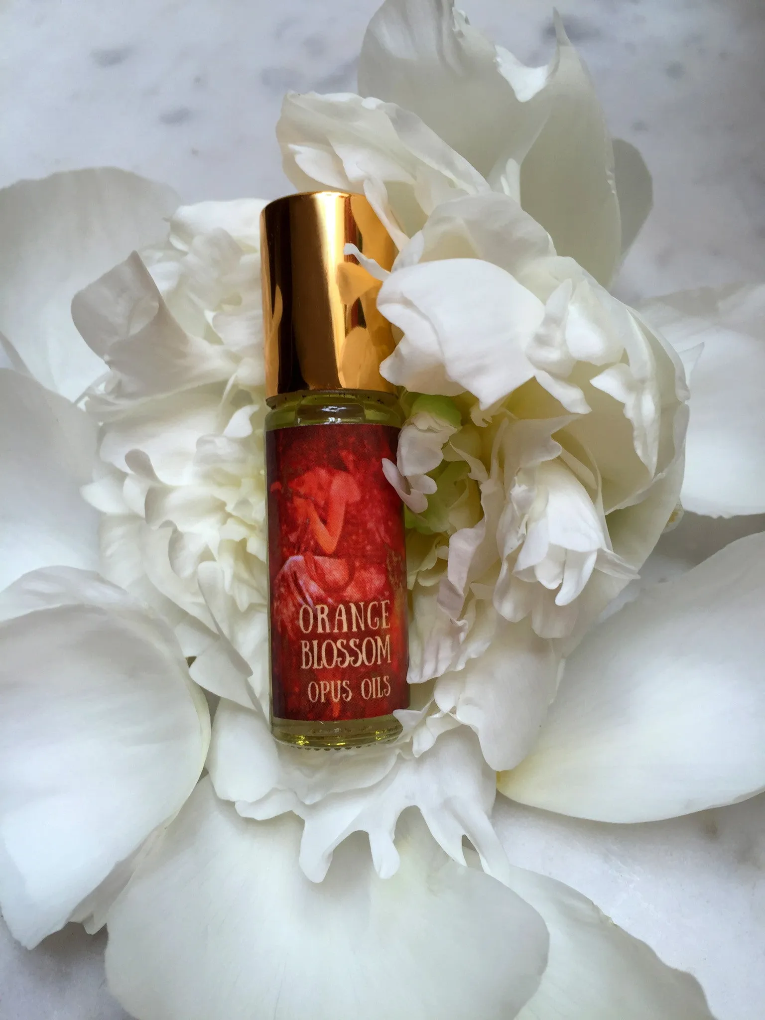 Orange Blossom Perfume Oil -- 1 dram